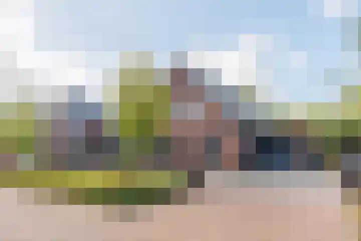 Logterbos 5 Gennep thumbnail 72