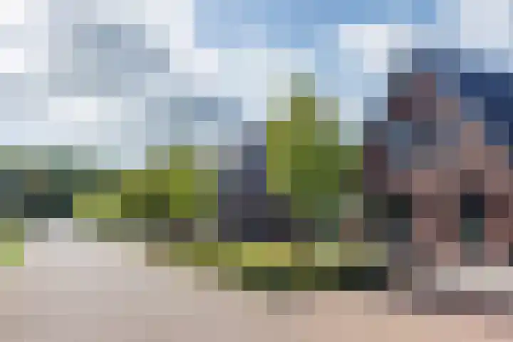 Logterbos 5 Gennep thumbnail 73