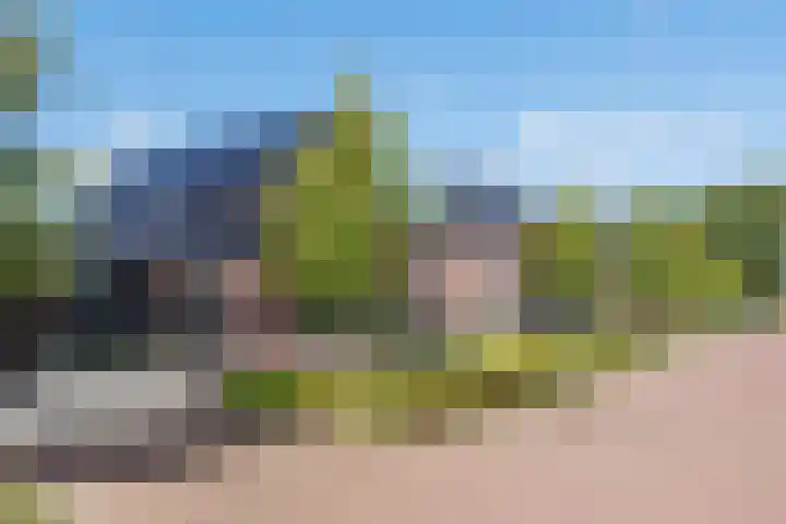 Logterbos 5 Gennep thumbnail 77