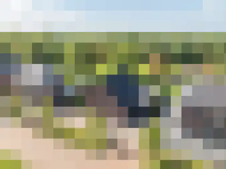 Logterbos 5 Gennep thumbnail 79
