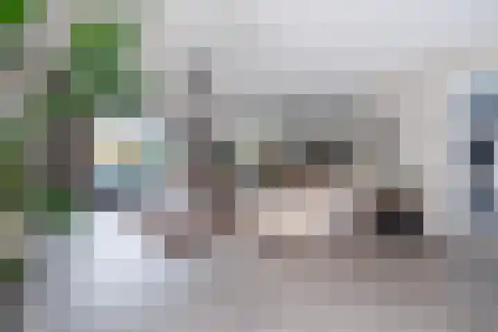 Logterbos 5 Gennep thumbnail 8