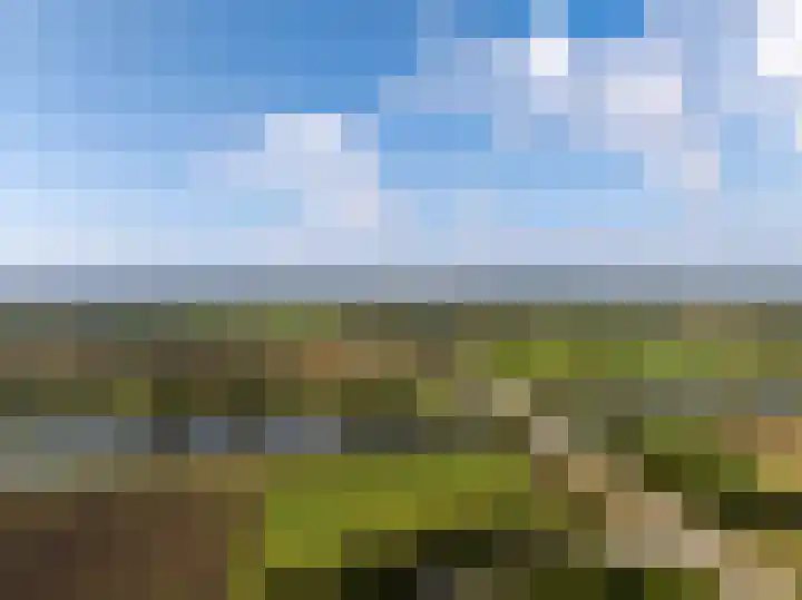 Logterbos 5 Gennep thumbnail 80