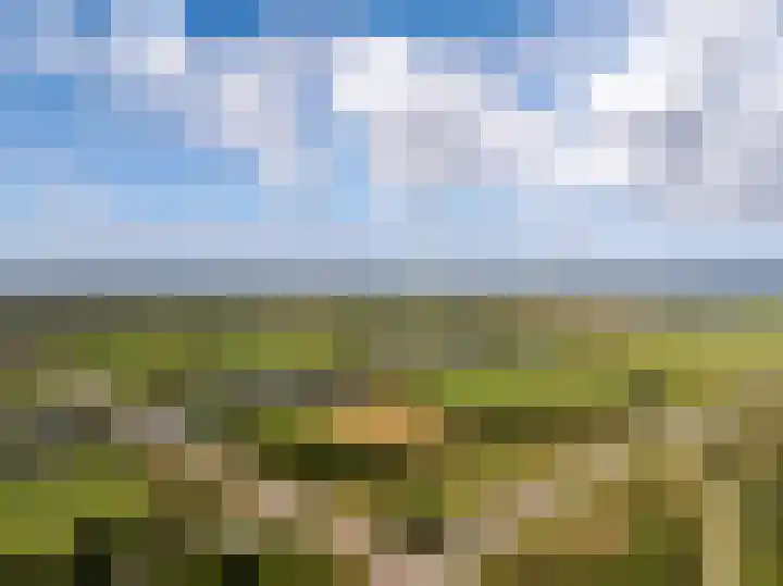 Logterbos 5 Gennep thumbnail 81