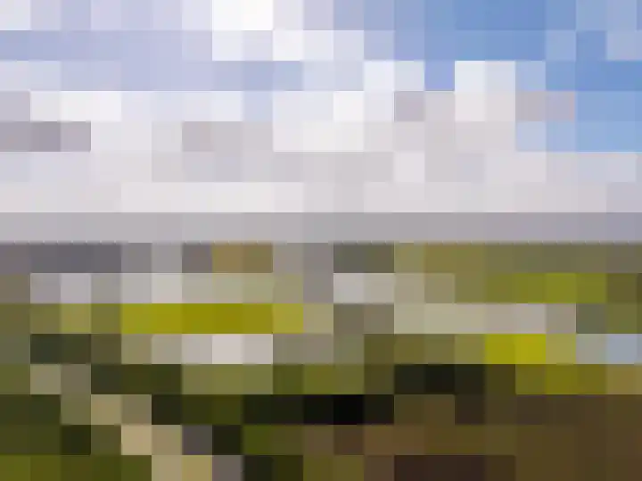 Logterbos 5 Gennep thumbnail 82