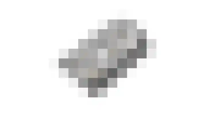 Logterbos 5 Gennep thumbnail 87