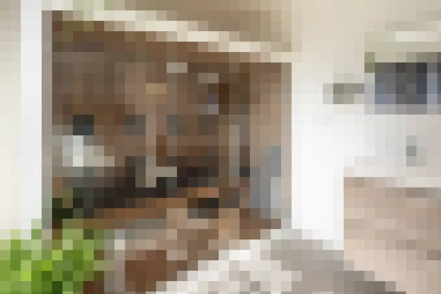 Logtsebaan 11 Oisterwijk thumbnail 17