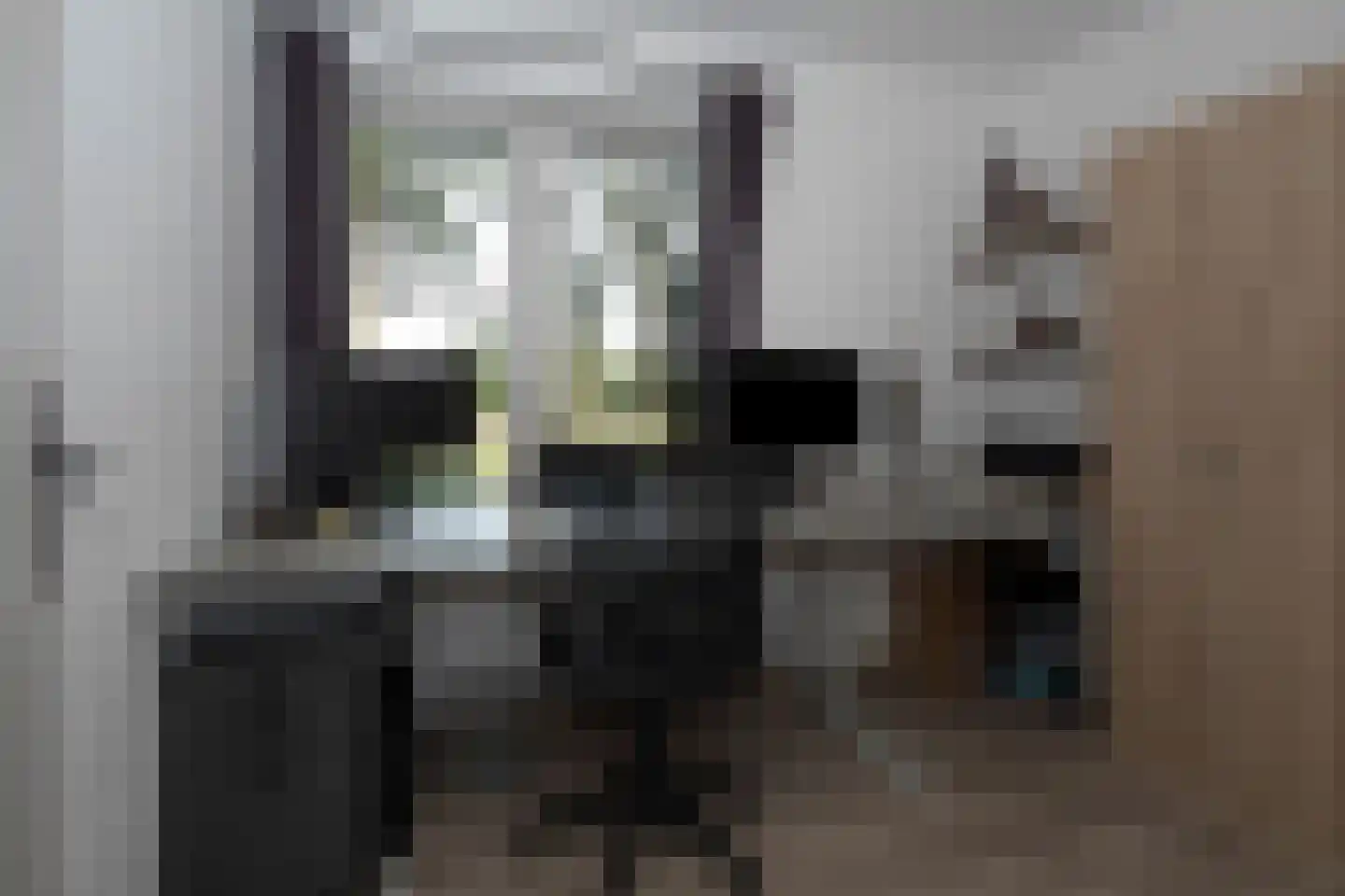 Logtsebaan 11 Oisterwijk thumbnail 23