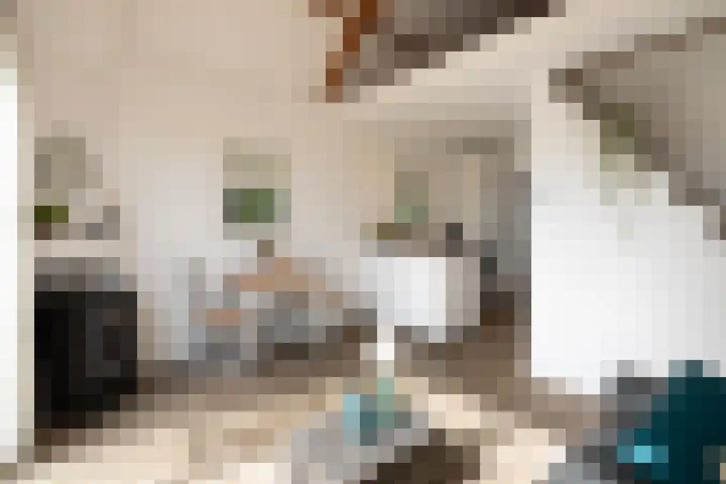 Logtsebaan 11 Oisterwijk thumbnail 27