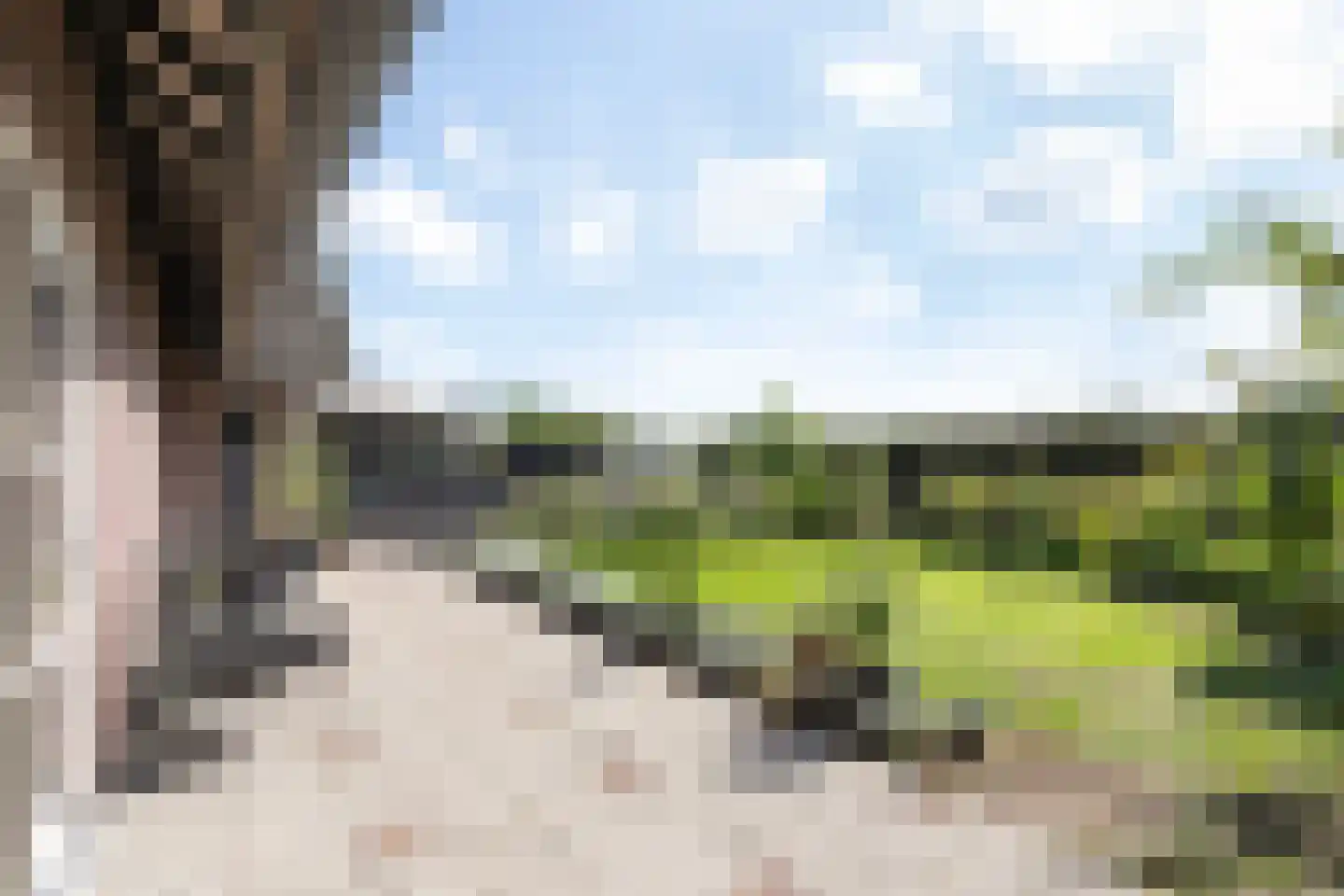 Logtsebaan 11 Oisterwijk thumbnail 37