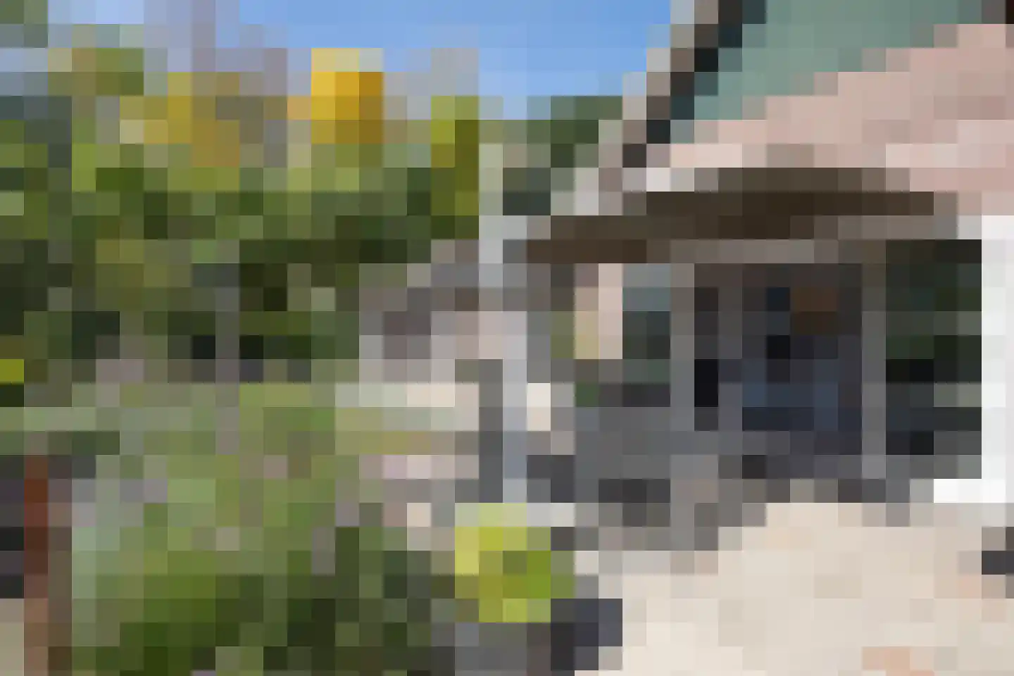 Logtsebaan 11 Oisterwijk thumbnail 39