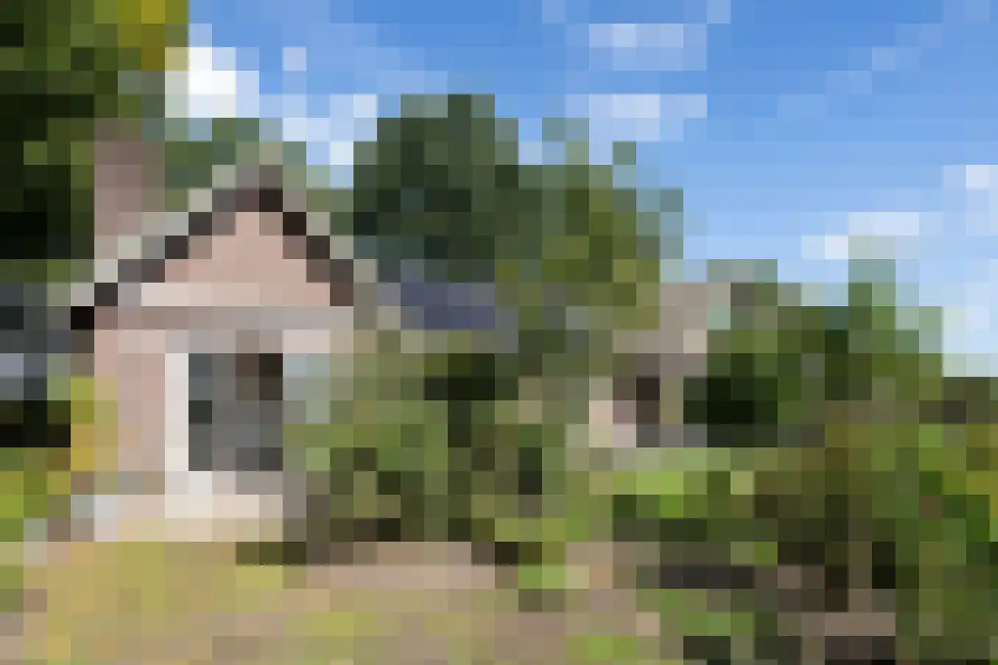 Logtsebaan 11 Oisterwijk thumbnail 40