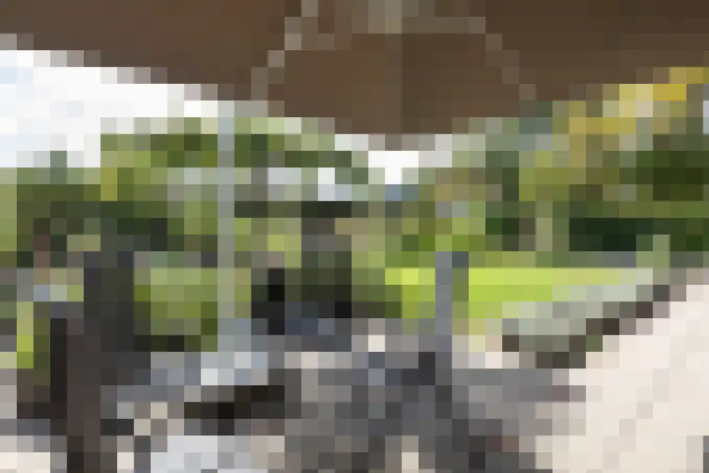 Logtsebaan 11 Oisterwijk thumbnail 41