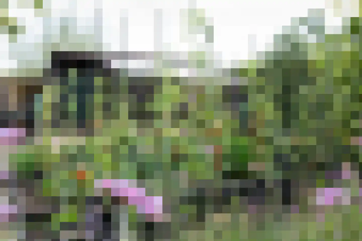 Logtsebaan 11 Oisterwijk thumbnail 42