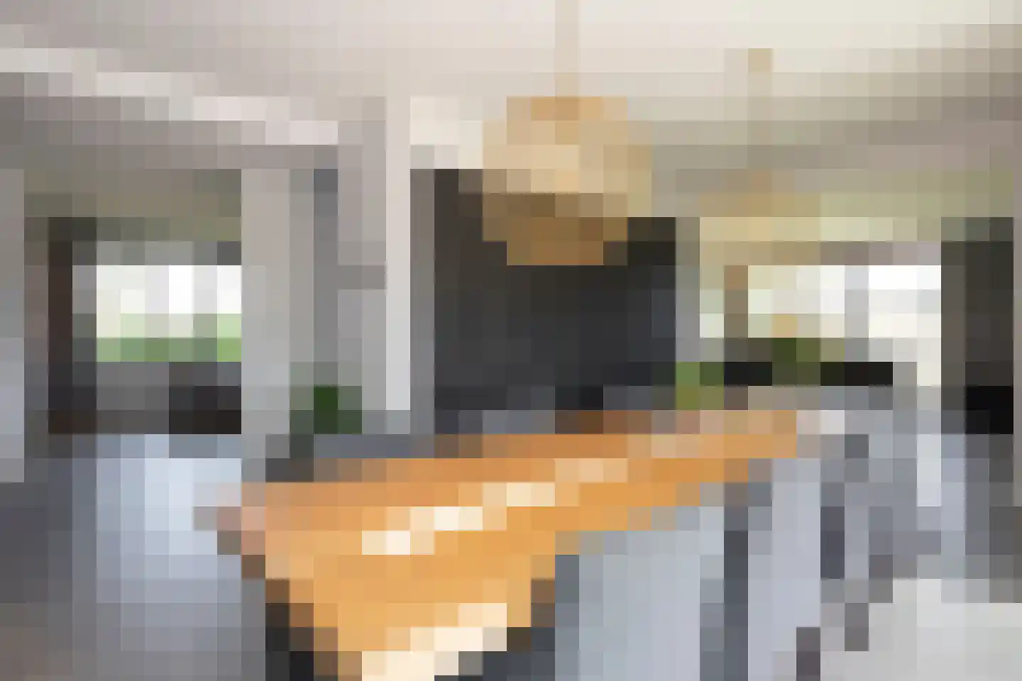 Logtsebaan 11 Oisterwijk thumbnail 7