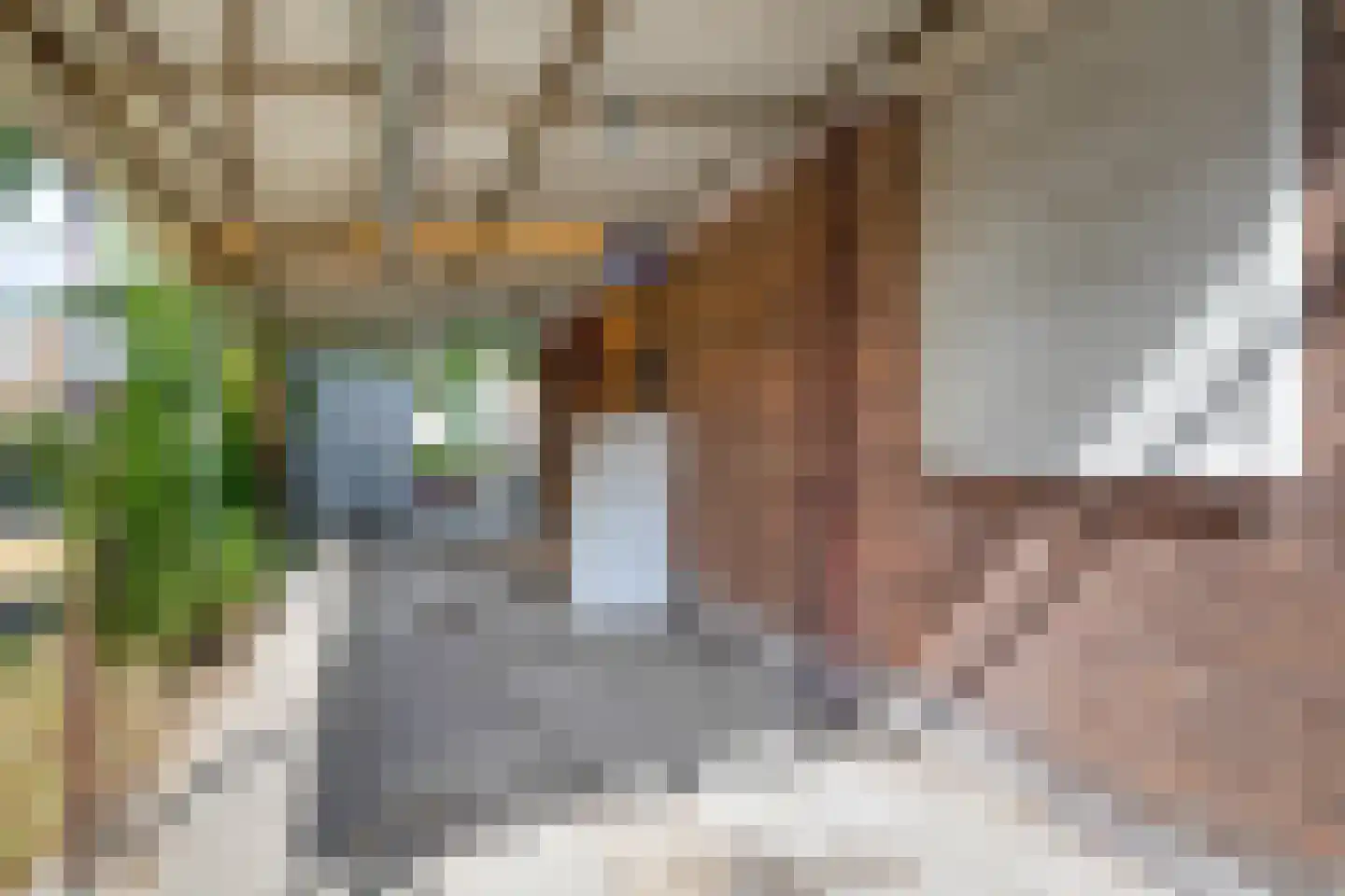 Lohengrinhof 3 Hoogvliet Rotterdam thumbnail 35