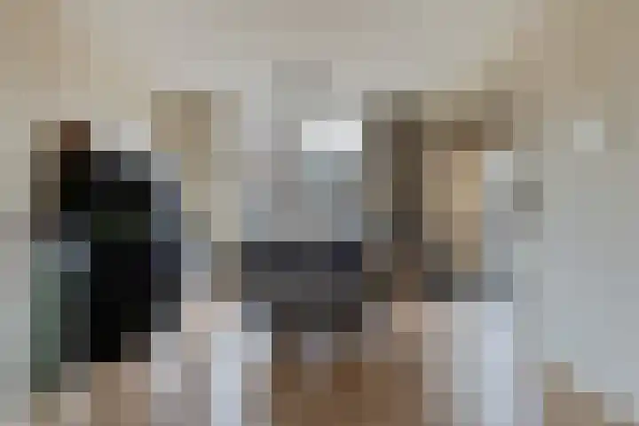 Lohengrinhof 4 Hoogvliet Rotterdam thumbnail 10