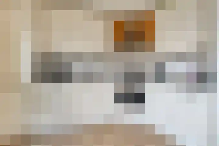 Lohengrinhof 4 Hoogvliet Rotterdam thumbnail 13