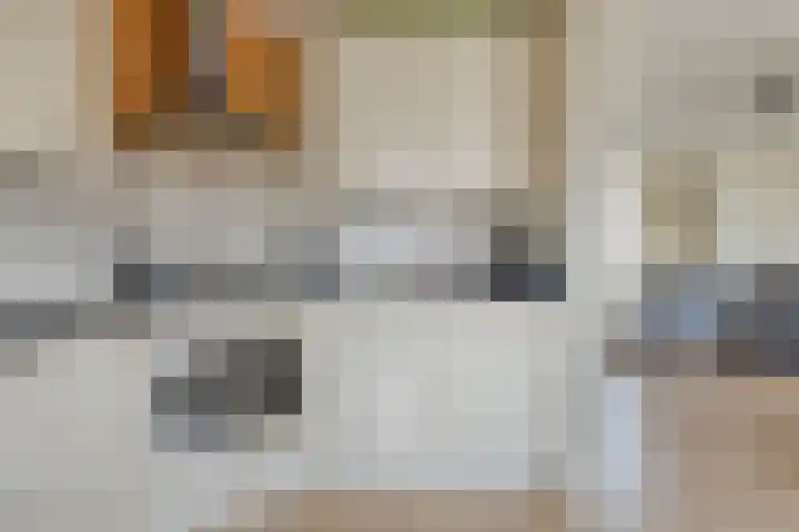Lohengrinhof 4 Hoogvliet Rotterdam thumbnail 14