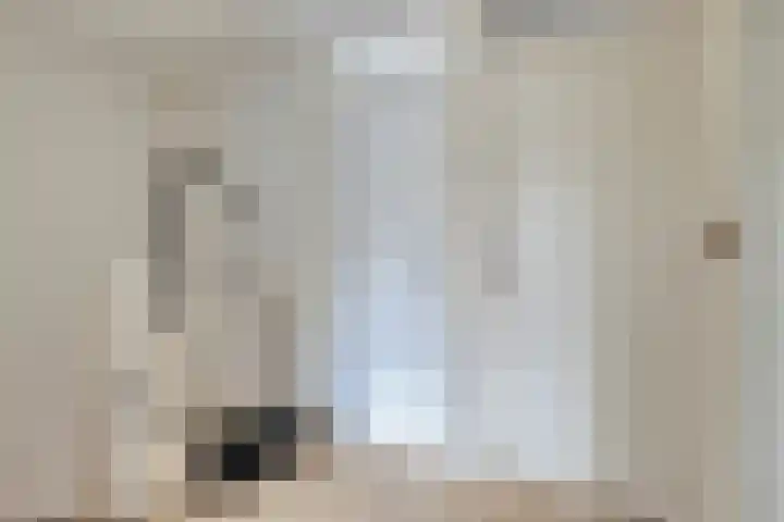 Lohengrinhof 4 Hoogvliet Rotterdam thumbnail 16