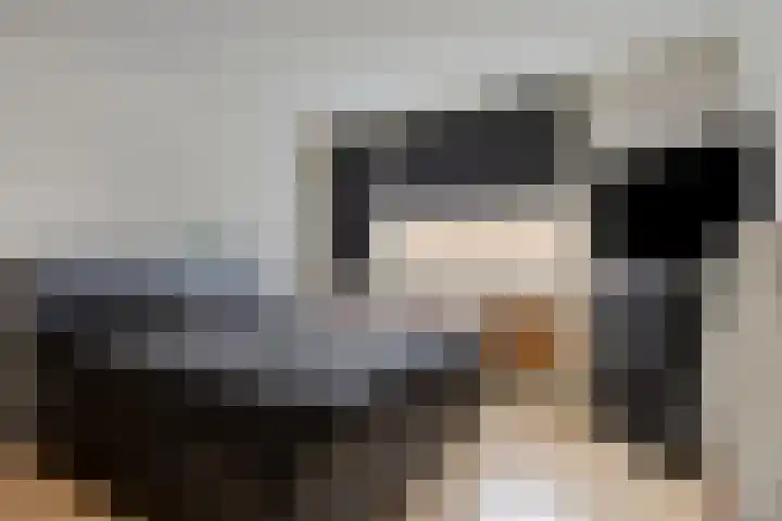 Lohengrinhof 4 Hoogvliet Rotterdam thumbnail 19