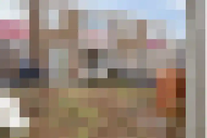 Lohengrinhof 4 Hoogvliet Rotterdam thumbnail 27