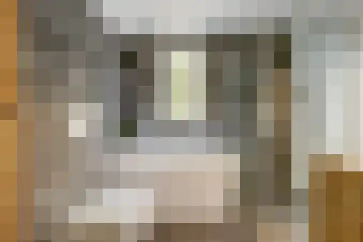 Lohengrinhof 5 Nieuwegein thumbnail 29