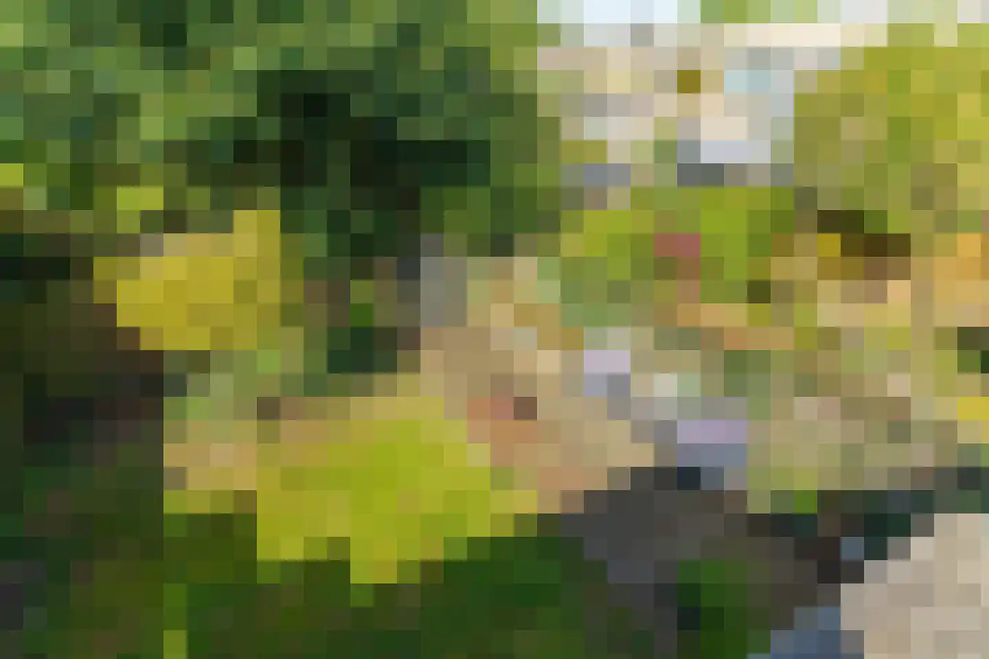 Lohengrinlaan 11 Eindhoven thumbnail 31