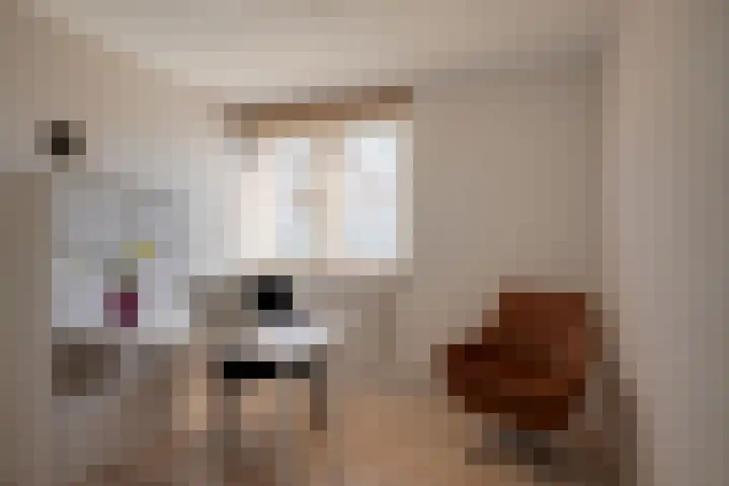 Lohengrinlaan 11 Eindhoven thumbnail 38