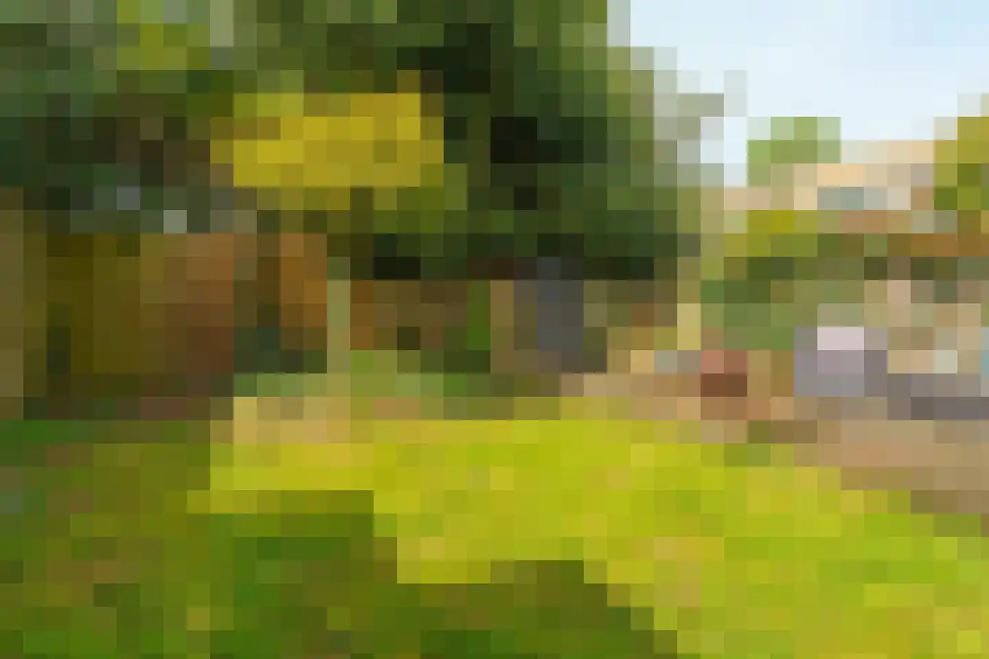 Lohengrinlaan 11 Eindhoven thumbnail 48
