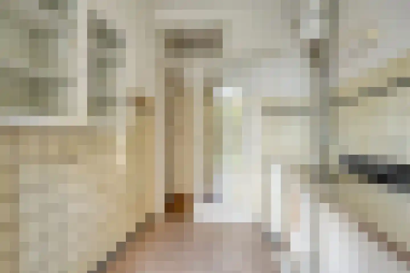 Lohengrinstraat 51 Den Haag thumbnail 23