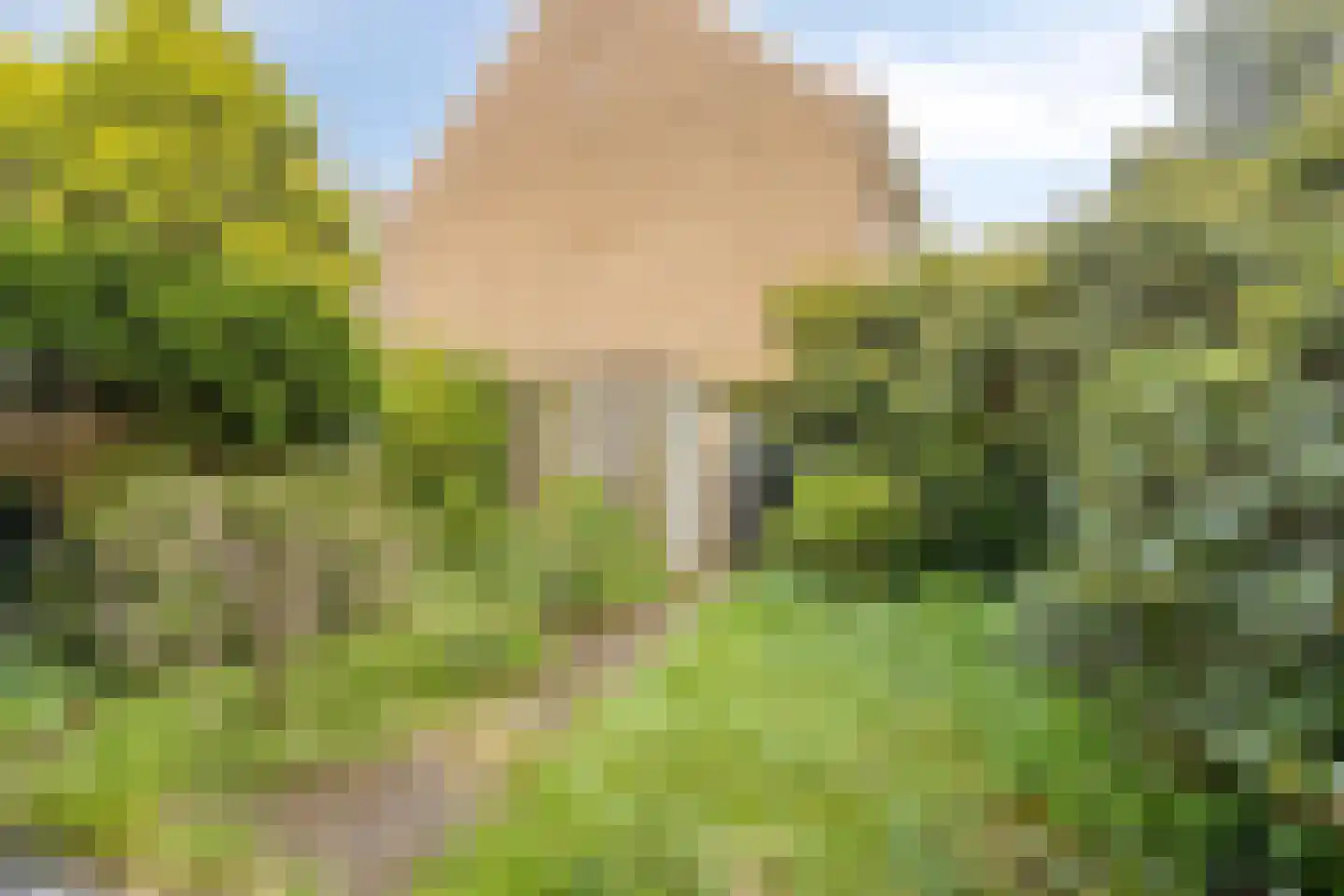 Lohengrinstraat 51 Den Haag thumbnail 24