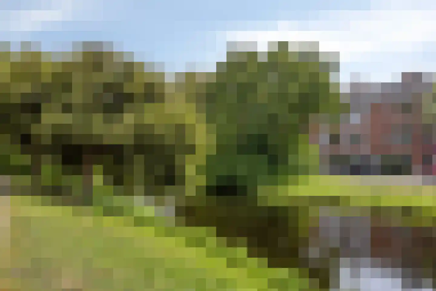 Lohengrinstraat 51 Den Haag thumbnail 5