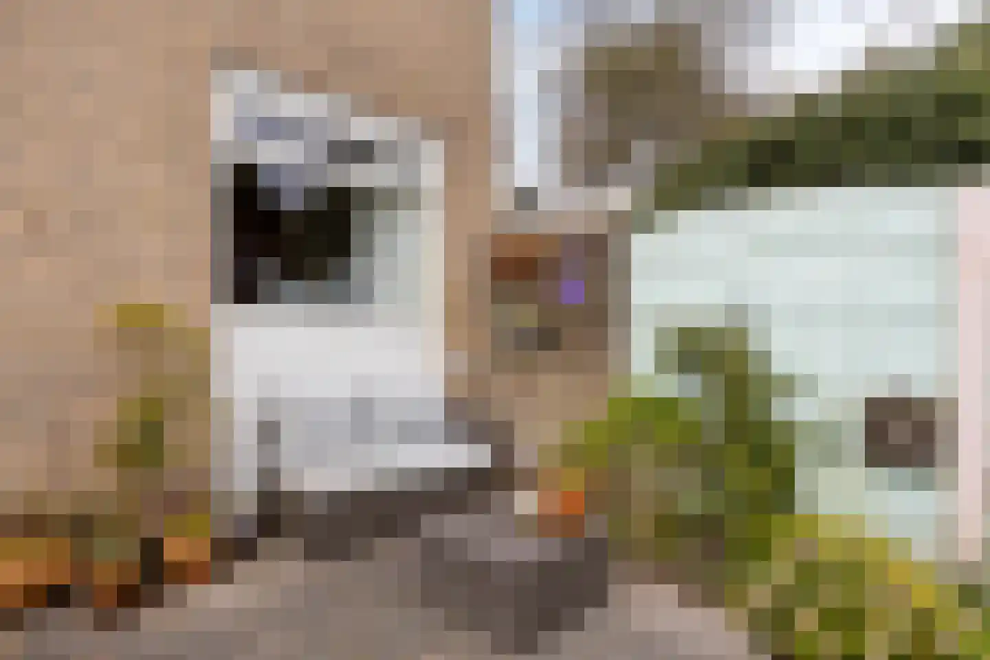Lohengrinstraat 64 Amstelveen thumbnail 32