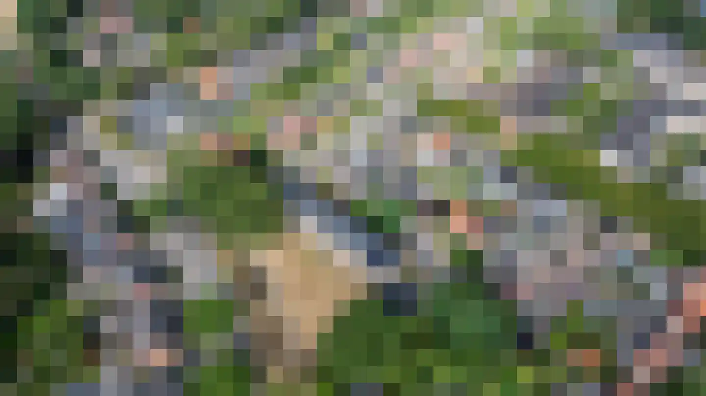 Lohmanlaan 39 Doetinchem thumbnail 37