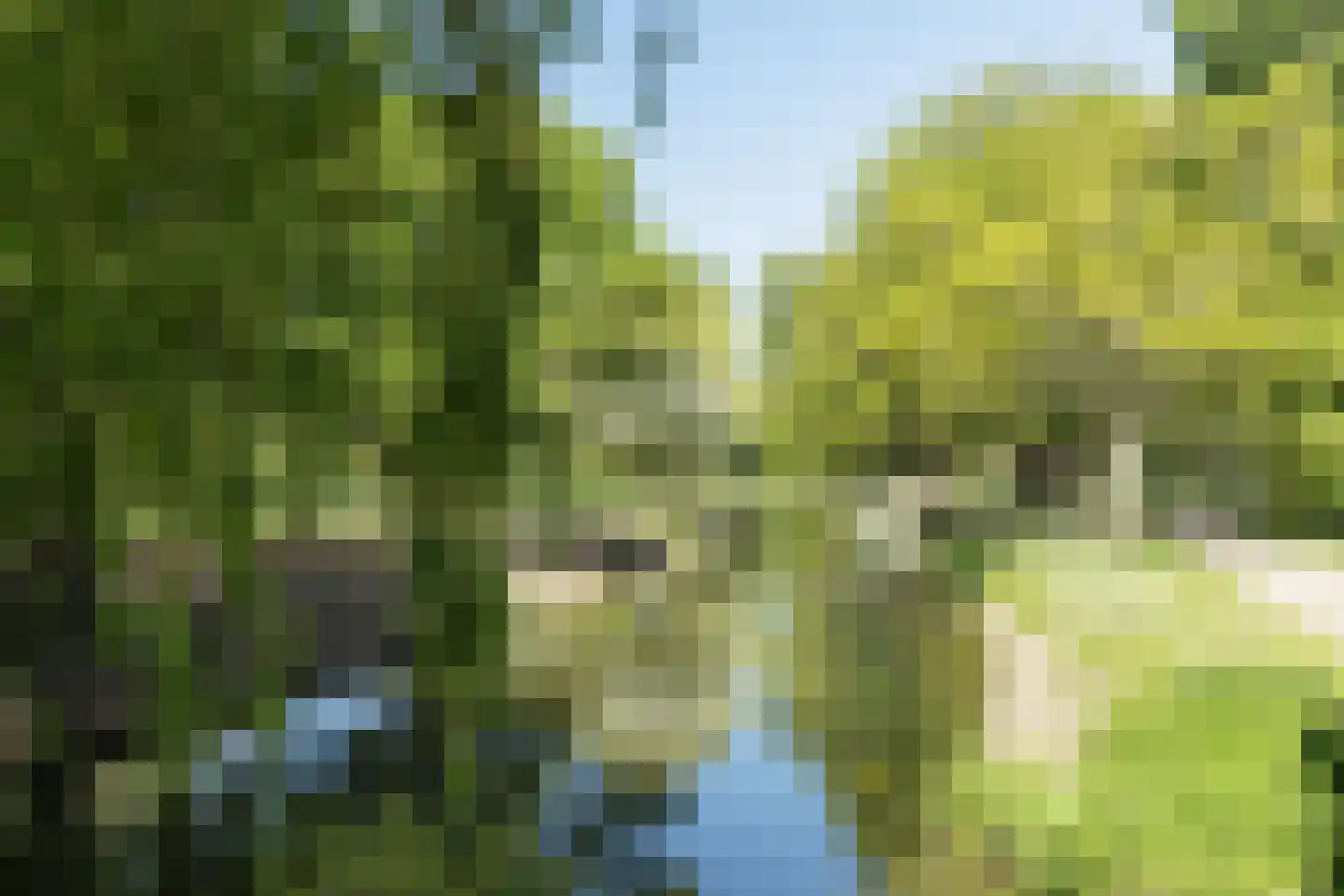 Lohmanpark 30 Ridderkerk thumbnail 4