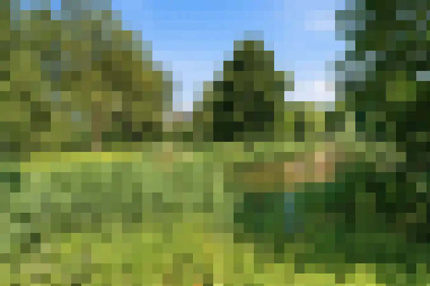 Lohmanpark 75 Ridderkerk thumbnail 34
