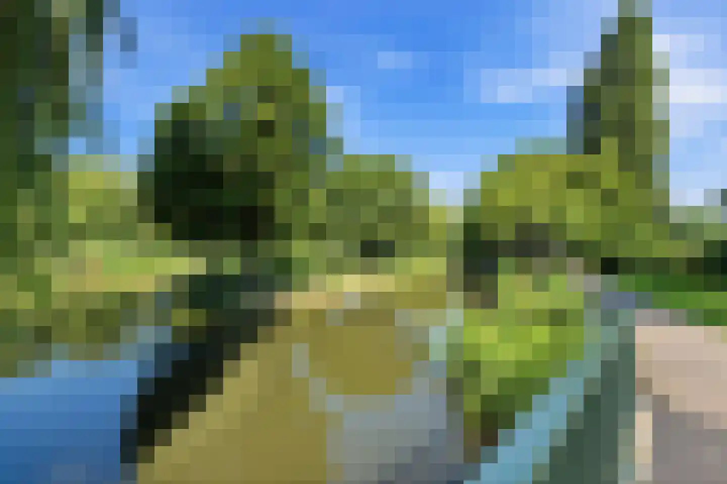 Lohmanpark 75 Ridderkerk thumbnail 38