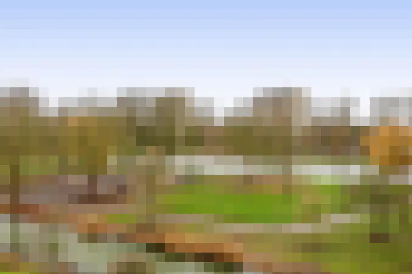 Lohmanpark 84 Ridderkerk thumbnail 34