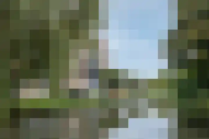 Lohmanpark 87 Ridderkerk thumbnail 27