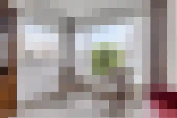 Lohmanstraat 14 Sneek thumbnail 10