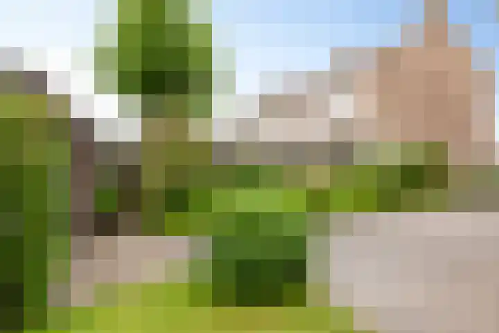 Lohmanstraat 14 Sneek thumbnail 32