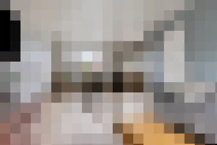 Lohmanstraat 2 Sneek thumbnail 11