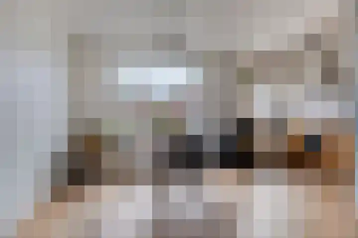 Lohmanstraat 2 Sneek thumbnail 12