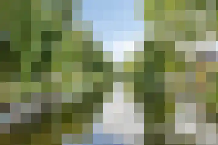 Lohmanstraat 2 Sneek thumbnail 35