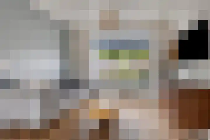 Lohmanstraat 2 Sneek thumbnail 9