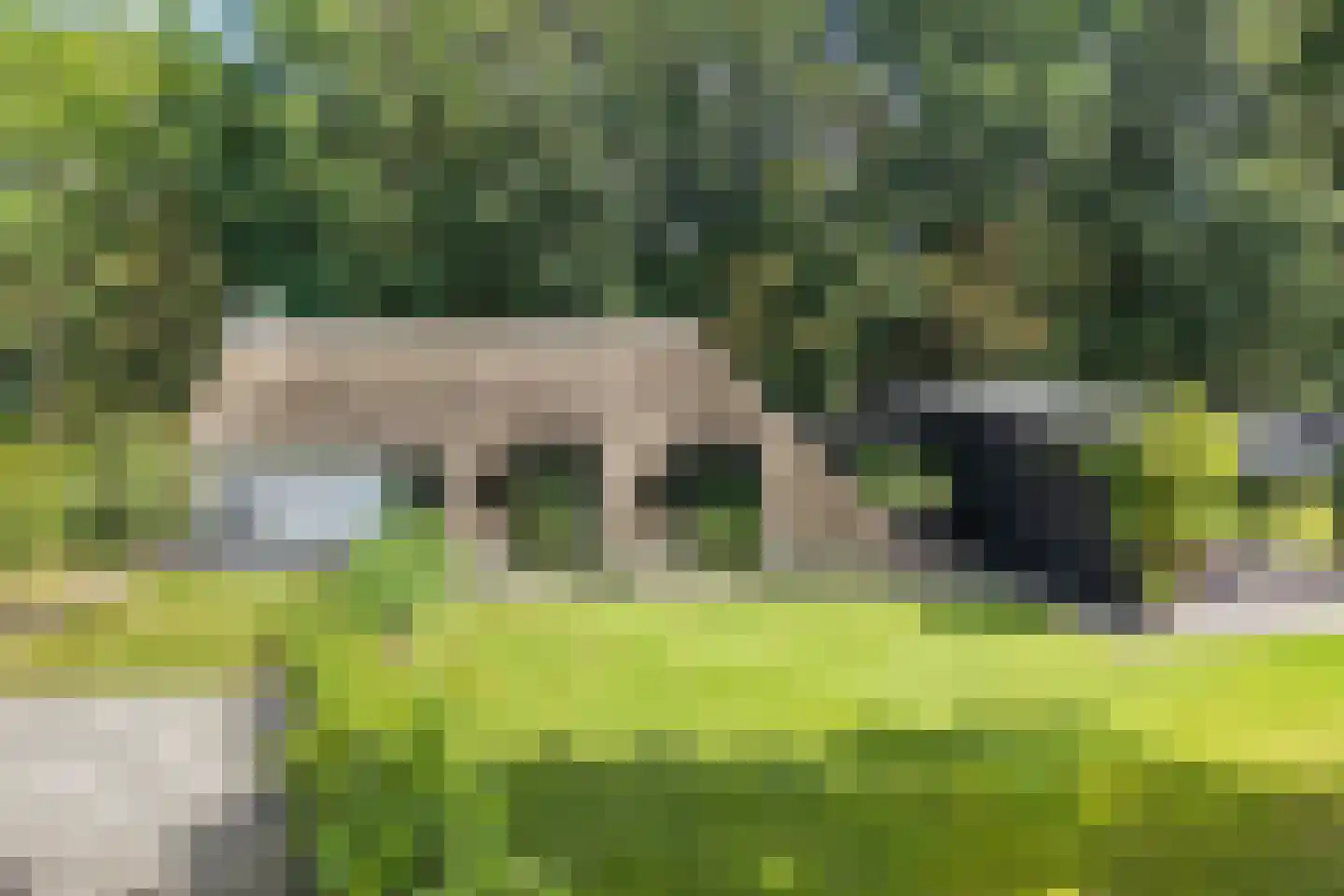 Löhnislaan 10 in De Pol