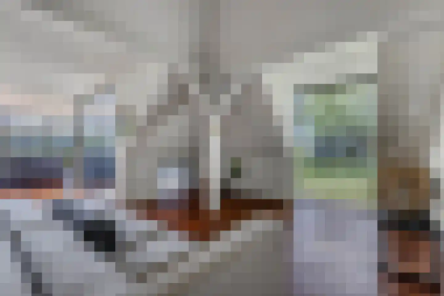 Löhnislaan 10 De Pol thumbnail 12