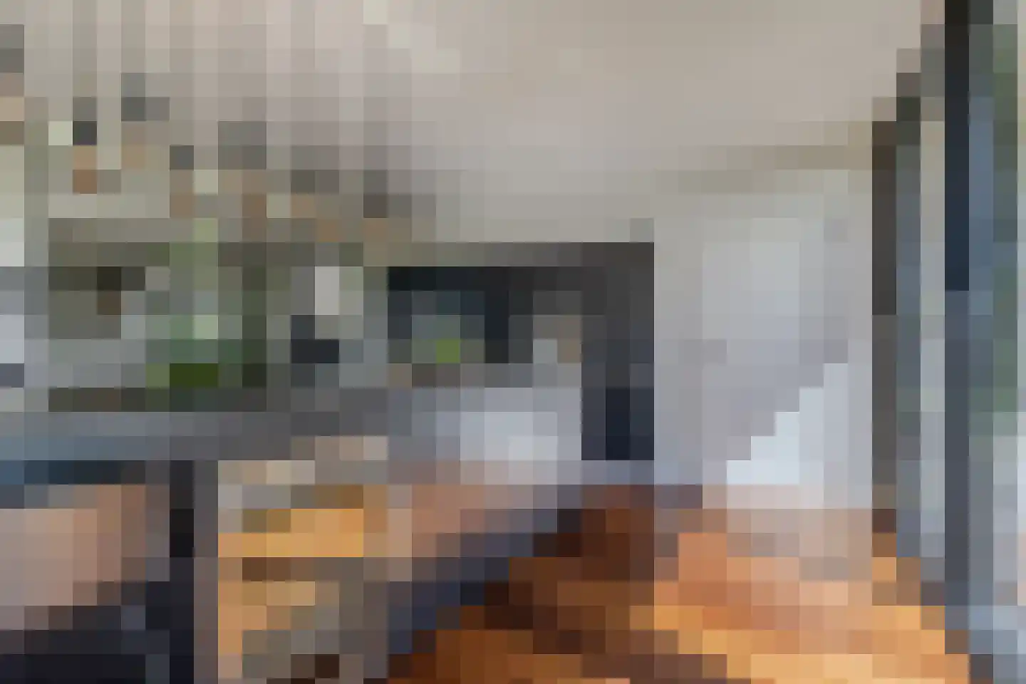 Löhnislaan 10 De Pol thumbnail 16