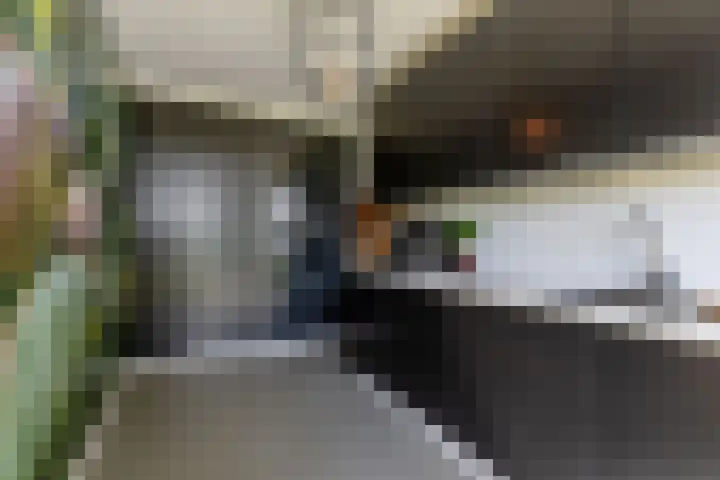 Löhnislaan 10 De Pol thumbnail 17