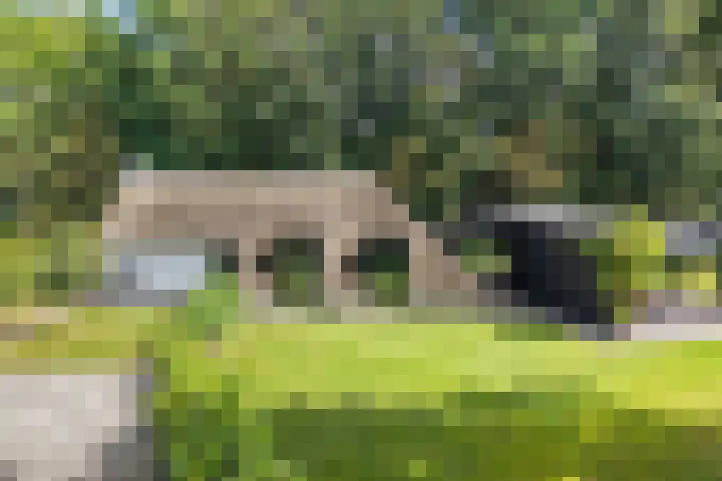 Löhnislaan 10 De Pol foto 2